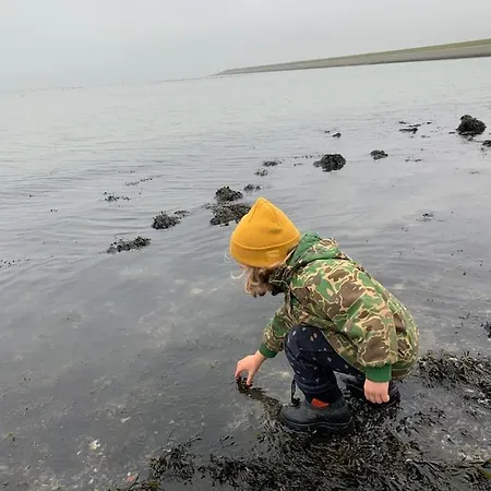 Hotel Stacaravan Met Tuin Aan De Waddenzee